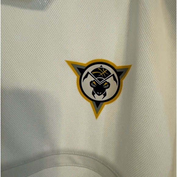 Fort Wayne Mad Ants Nike Dri- Fit Polo Mens Sz L (Pacers G League) - Picture 6 of 6